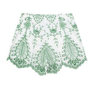 Embroidered  Shorts Zara inspired NWT M